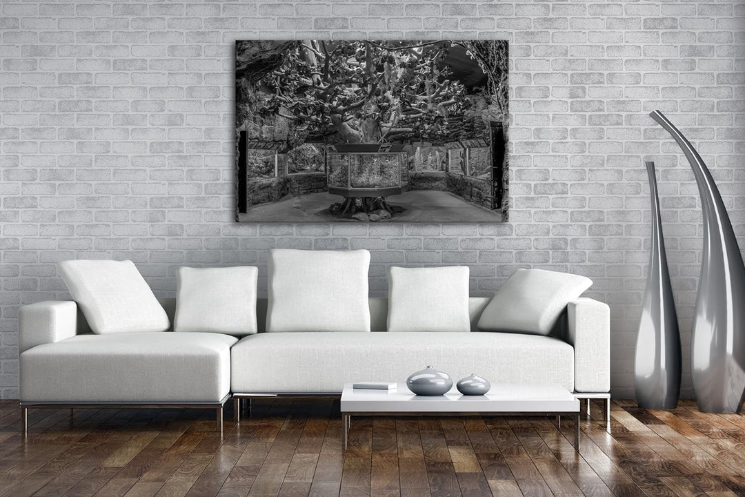 deyoli Bezauberndes Aquarium mit Fischen Effekt: Schwarz/Weiss im Format: 80x60 als Leinwandbild, Mo