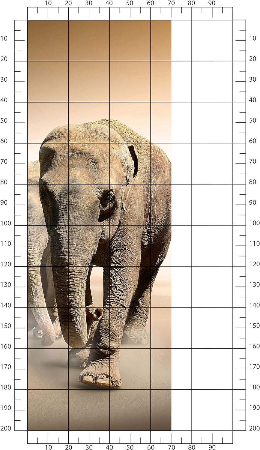 wandmotiv24 Türtapete Elefantengruppe Afrika 70 x 200cm (B x H) - Dekorfolie selbstklebend Sticker f