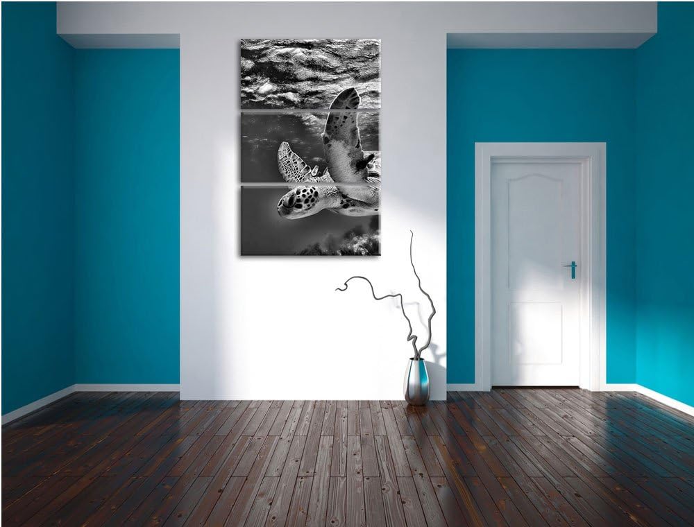 Pixxprint Schildkröte im Riff als Leinwandbild/Grösse: 3 Teilig (120x80) cm/Wandbild/Kunstdruck/fert