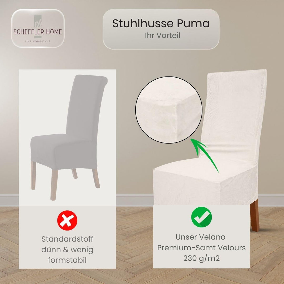 SCHEFFLER-Home Stretch Stuhlhussen Samt Puma Velvet/Velours Stuhlhussen Weiss-Ecru 2er Set/Stuhlabde