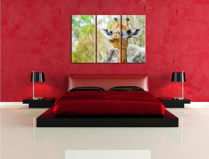 Pixxprint Giraffe in der Natur als Leinwandbild - Grösse: 3-Teilig (120x80cm) - Wandbild - Kunstdruc