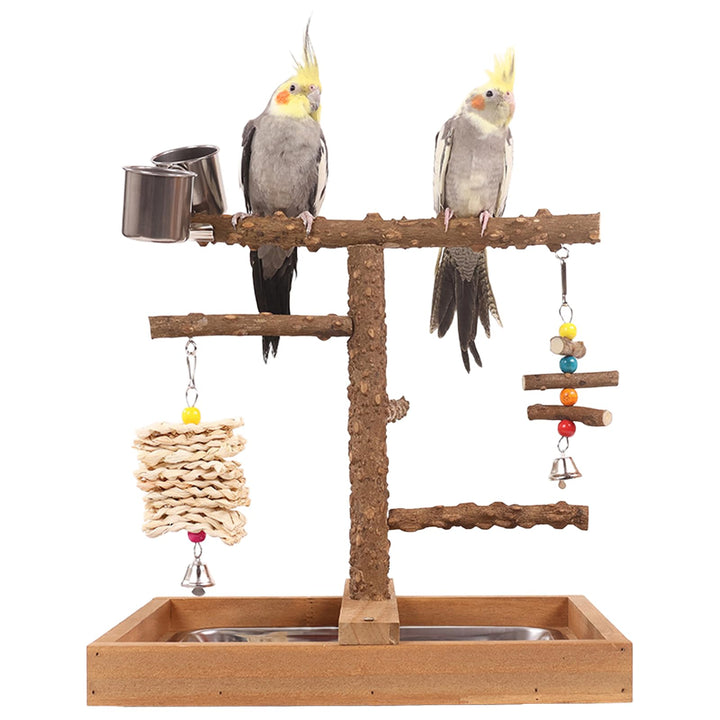 Vogelspielplatz Wellensittich Spielplatz Spielzeug, Grosser Vogel Spielplatz mit Sitzstangen Hängesp