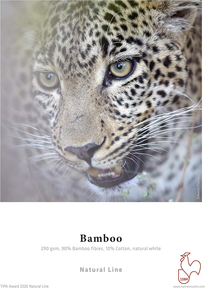 Hahnemühle 10641611 Digital FineArt Bamboo, 290 g/m², DIN A4, 210 x 297 mm, naturweiss, 210 x 297 mm