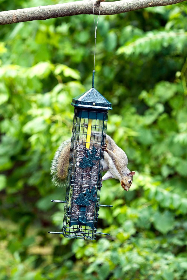 Squirrel Solution200 Vogelfutterstation mit 6 Futteranschlüssen, 1,5 kg Samenkapazität, inkl. Sament