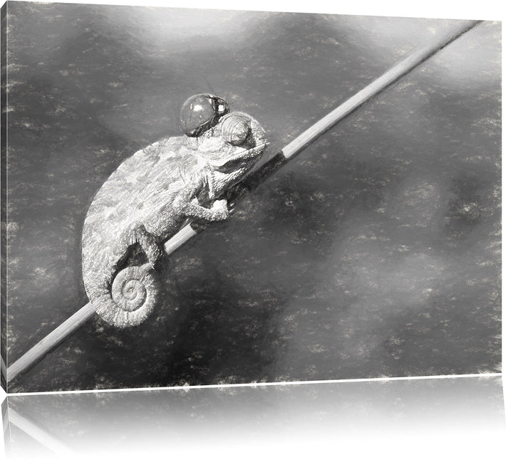 Pixxprint Gecko mit einem Marienkäfer als Leinwandbild/Grösse: 100x70 / Wandbild/Kunstdruck/fertig b