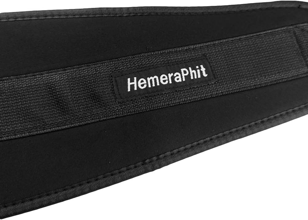 HemeraPhit Gewichtete Klimmzug Dips Gürtel Kette Doppel D Ring Gewichtheben Rückengurte Home Gym Zub