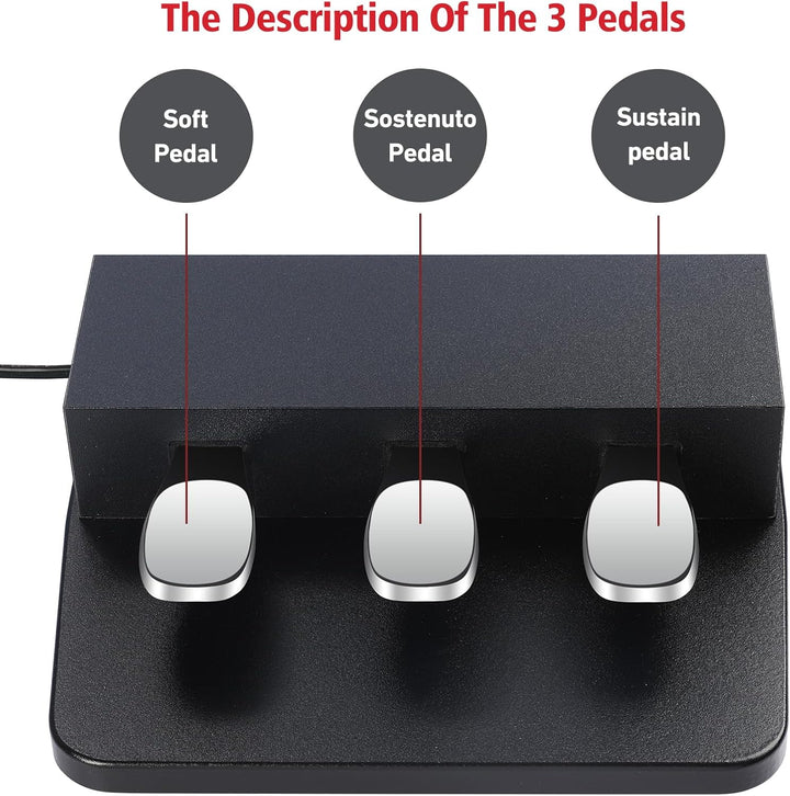 ATNEDCVH 3-Pedal für digitales Keyboard-Piano, 3 Pedaleinheit, kompatibel für Roland FP30 FP30X E-Pi