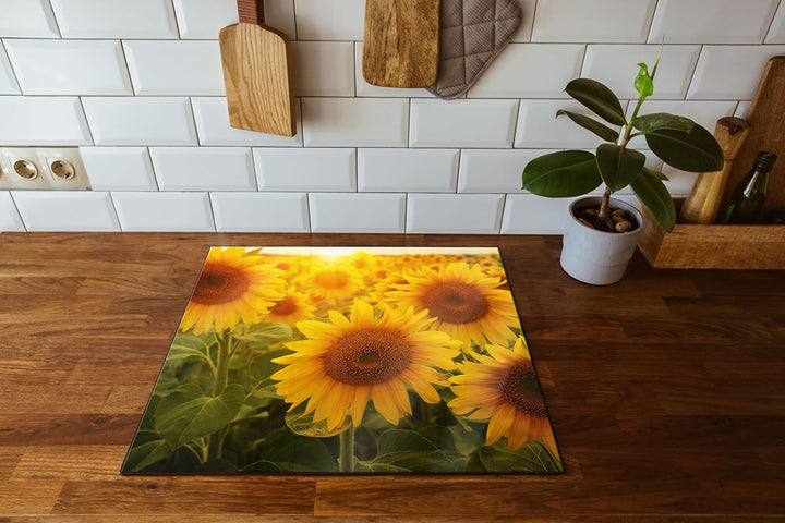 Sonnenblumen auf dem Feld Herdabdeckplatte & Spritzschutz aus Echtglas | Für Herd-Kochfelder | 60x52