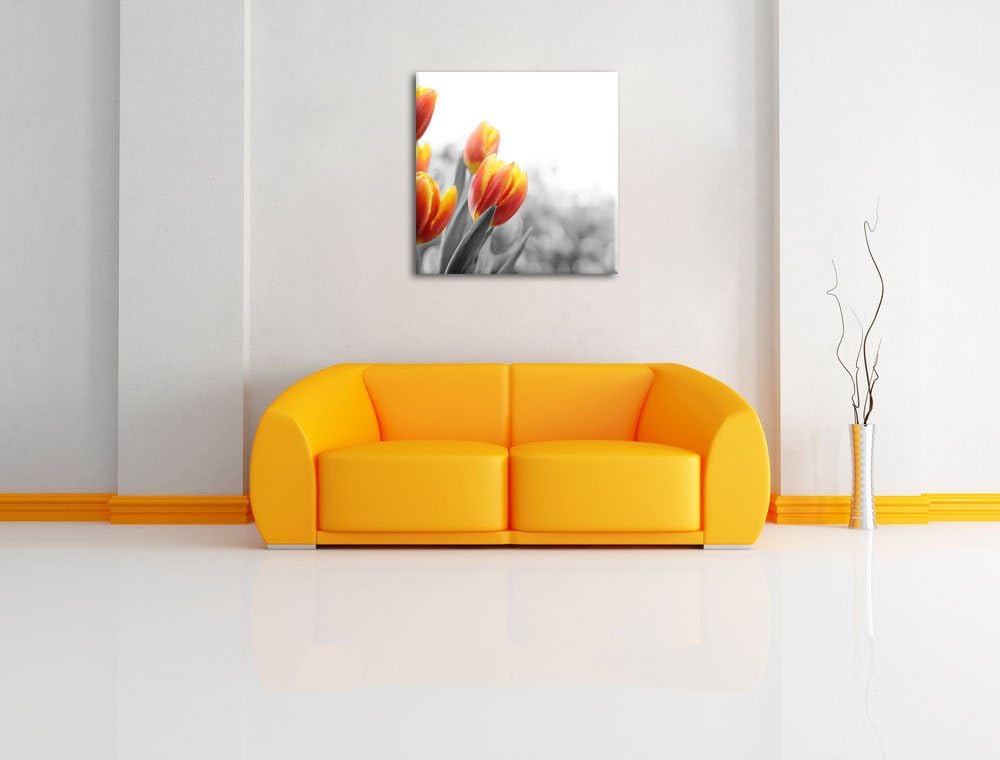 Pixxprint Bunte Tulpenwiese als Leinwandbild Quadratisch/Grösse: 70x70 / Wandbild/Kunstdruck/fertig