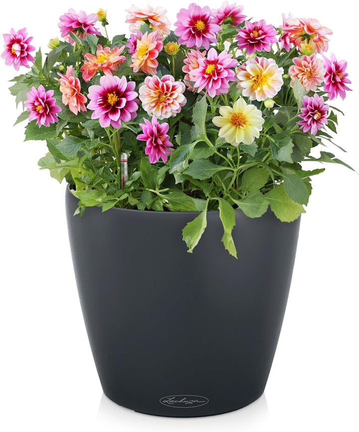 Lechuza 13224 Pflanztopf mit Erd-Bewässerungs-System, Schiefergrau, 35 x 35 x 33 cm 34.5x34.5x32.5 c