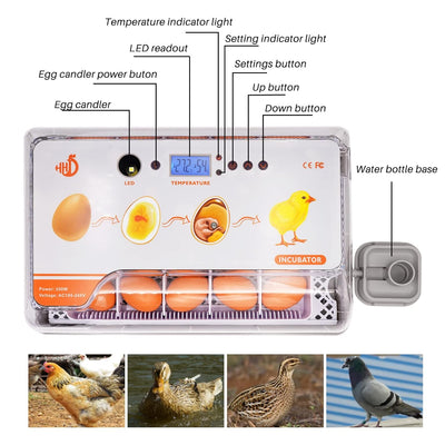 20 Eier Inkubator Automatisch mit Effizienter LED Beleuchtung,Inkubator Brutkasten Motorbrüter Brutm