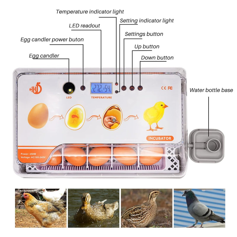 20 Eier Inkubator Automatisch mit Effizienter LED Beleuchtung,Inkubator Brutkasten Motorbrüter Brutm