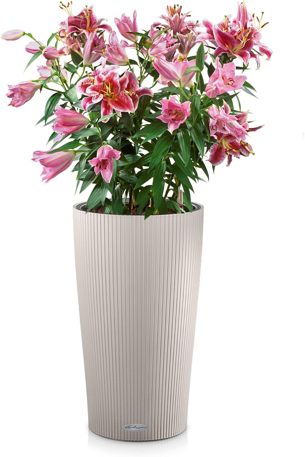 LECHUZA ZYLINDER Farbe 23 sandbraun 13948 23x23x41 cm Sandbraun, 23x23x41 cm Sandbraun