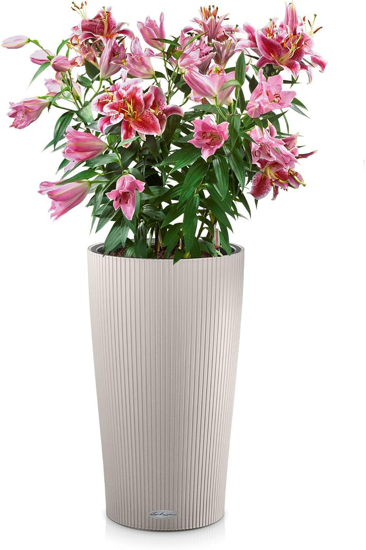 LECHUZA ZYLINDER Farbe 23 sandbraun 13948 23x23x41 cm Sandbraun, 23x23x41 cm Sandbraun
