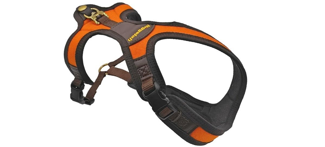Niggeloh Geschirr FOLLOW LIGHT Hundegeschirr Suchgeschirr orange M M Orange, M Orange