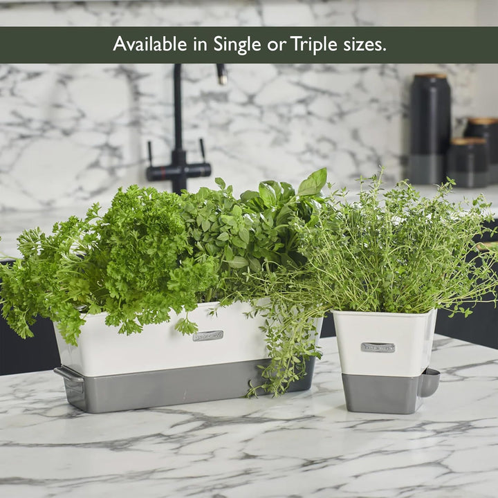 Cole & Mason Burwell Kräutertopf Selbstbewässernd, Kräutertopf Balkon/Kräutergarten für die Küche/Fü