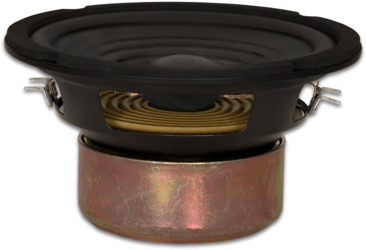 Goldwood Sound Dual Voice Coil 16,5 cm Ersatzlautsprecher Woofer Schwarz (GW-406D) 6.5-Inch, 6.5-Inc