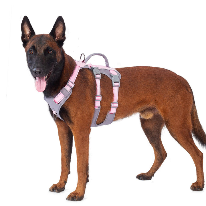 Huntboo Sicherheitsgeschirr Hund Ausbruchsicher, Panikgeschirr für Hunde, Reflektierendes Geschirr H
