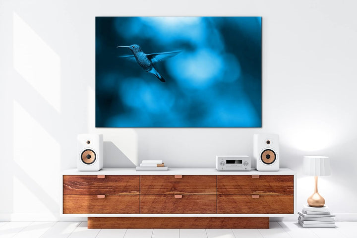 deyoli Kleiner Kolibri Format: 60x40 Effekt: Monocrome Blau als Leinwandbild, Motiv fertig gerahmt a