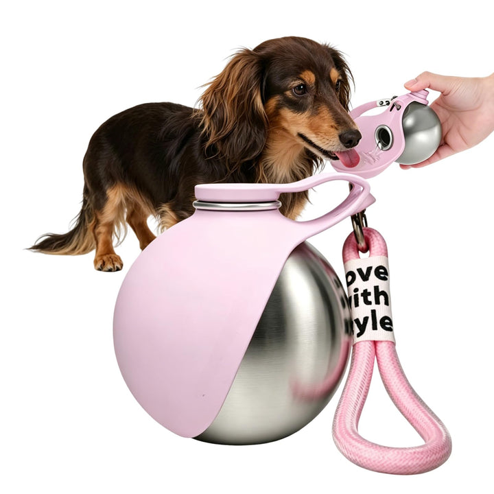 Trinkflasche Hunde für Unterwegs, 285 ml Edelstahl Hunde Trinkflasche mit Faltbarem Silikonnapf, Aus