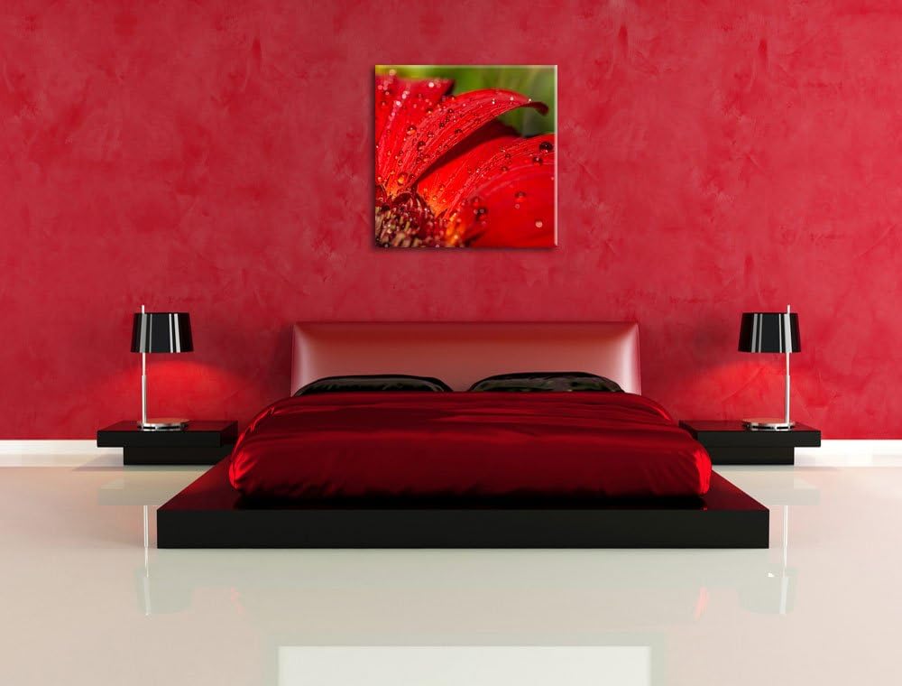 Tautropfen auf roter Blume, Format: 70x70 auf Leinwand, XXL riesige Bilder fertig gerahmt mit Keilra