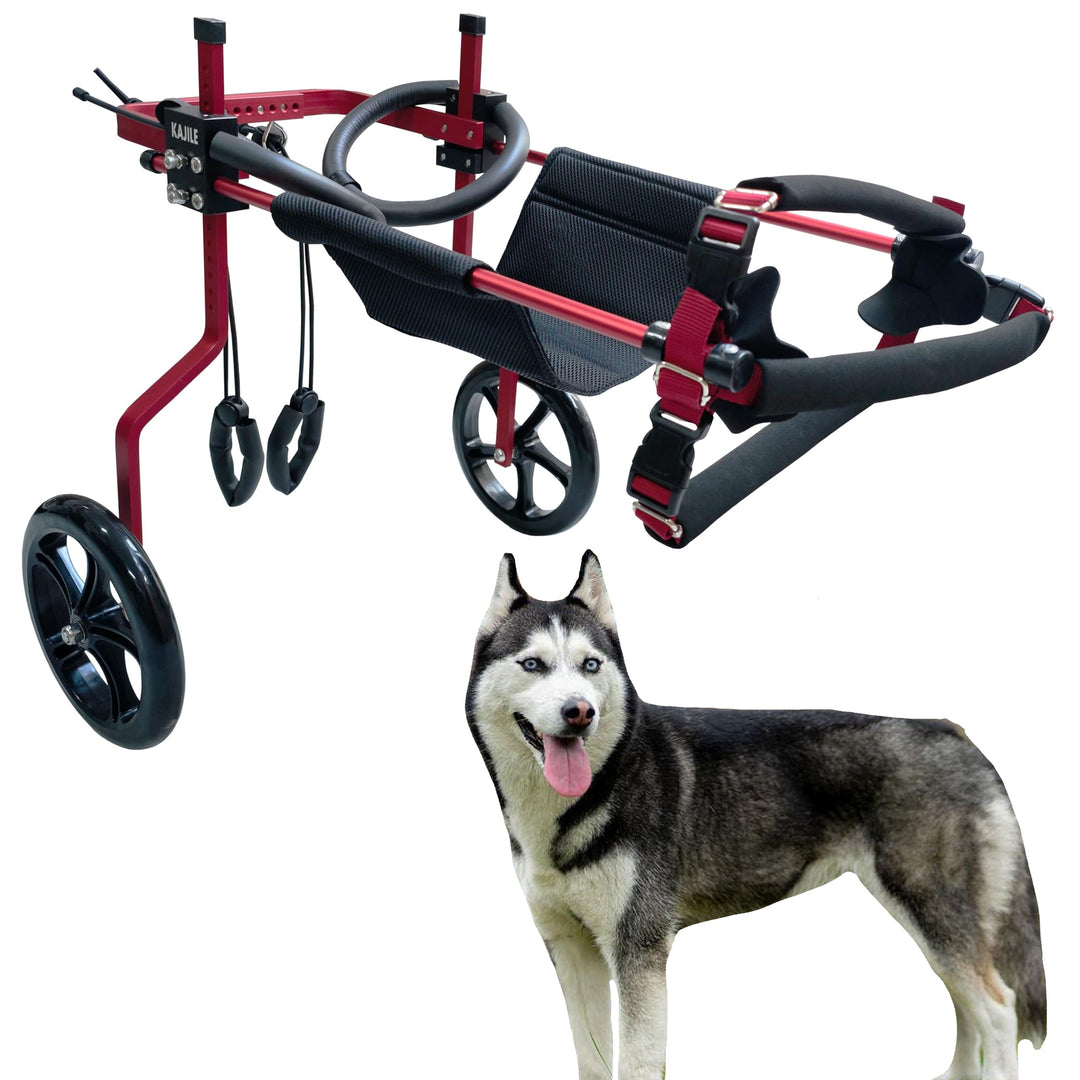 KAJILE Verstellbarer 2-Rad-Hunderollstuhl, XL-3 Grösse für behinderte Hund Hinterbeine Rehabilitatio