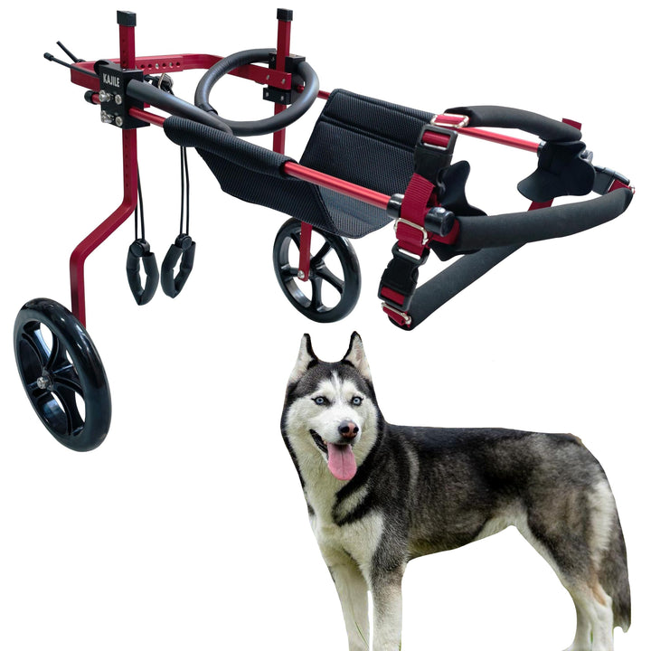 KAJILE Verstellbarer 2-Rad-Hunderollstuhl, XL-3 Grösse für behinderte Hund Hinterbeine Rehabilitatio