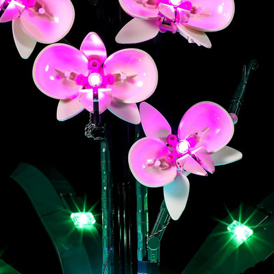 BRIKSMAX 10311 Led Licht für Lego Orchidee - Compatible with Lego Creator Expert Bausteinen Modell -