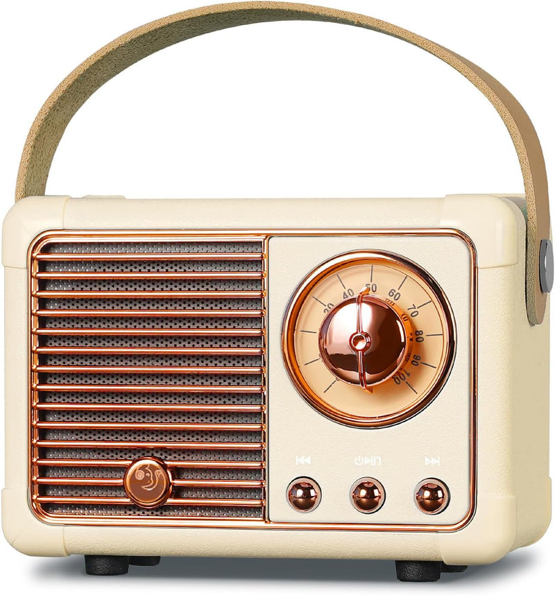 PRUNUS J-999 Mini Bluetooth Lautsprecher mit Radio FM, Retro Radio Bluetooth Speaker Wiederaufladbar