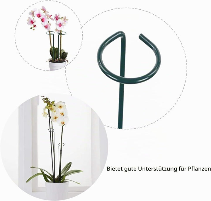 10 Stücke Staudenhalter, Strauchstütze, Blumenstütze, Metall Garten Stützring, Pflanzenhalter Ringkä