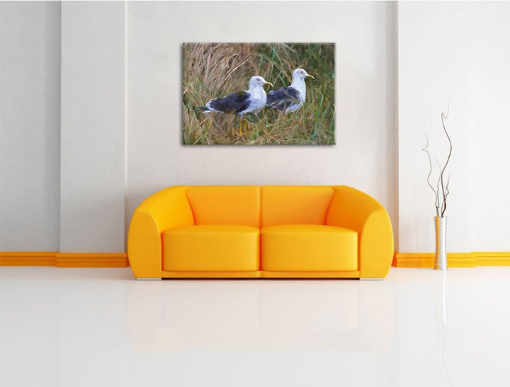 zwei Möwen im hohen Gras Spezial Format: 100x70 cm auf Leinwand, XXL riesige Bilder fertig gerahmt m