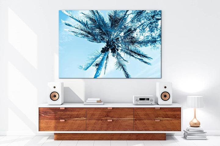 deyoli Kokosnüsse an einer tropischen Palme Format 100x70 Effekt: Monocrome Blau als Leinwandbild, M