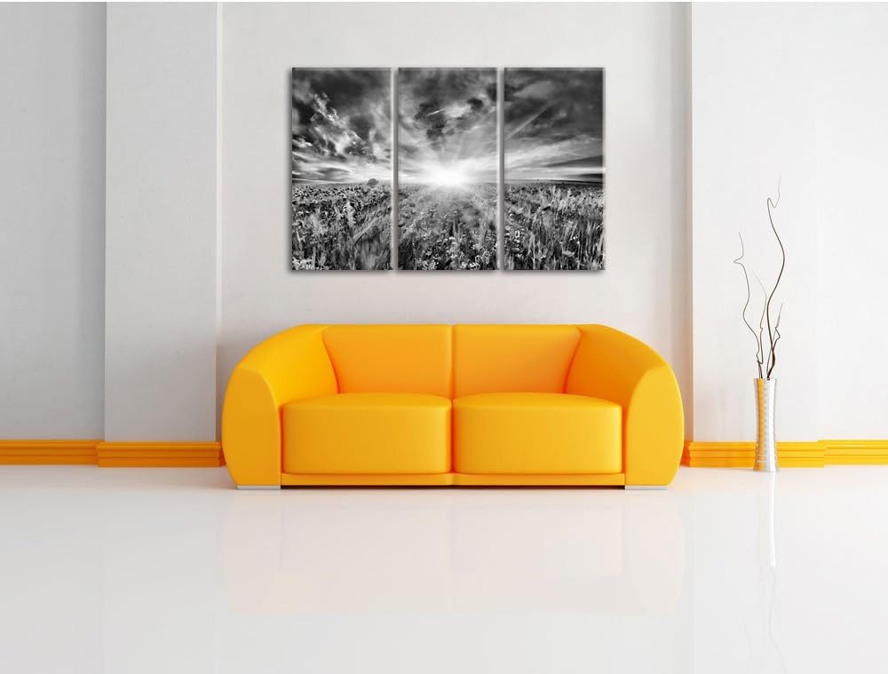 Pixxprint Monocrome, Blühende Mohnwiese in der Sonne 3-Teiler Leinwandbild 120x80 Bild auf Leinwand