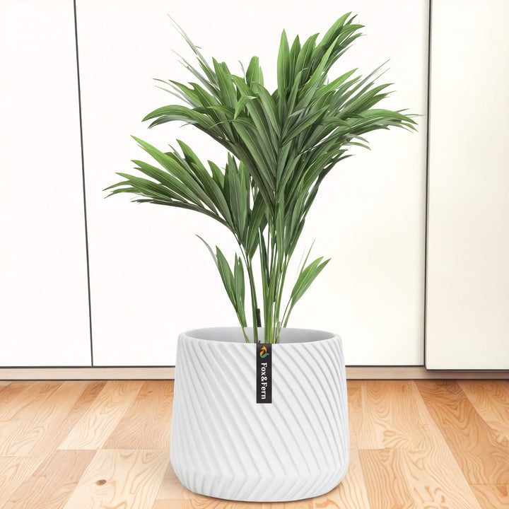 Fox&Fern Übertopf M mit 3D Riffelung - Blumentopf Gross inkl. Wasserabfluss - Blumentopf hoch 24cm -