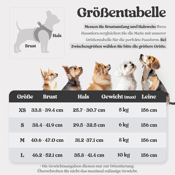 rabbitgoo Hundegeschirr Kleine Hunde mit Leine, Step-in Welpengeschirr Weich Mesh für Spaziergänge,