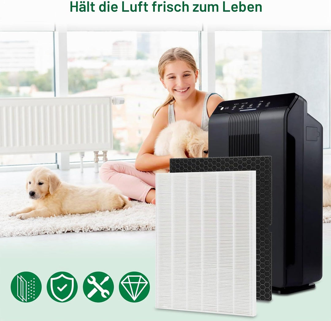 116130 Ersatzfilter H für Winix 5500-2 AM80 Luftreiniger, echte HEPA-Aktivkohle-Vorfilter, 2 Stück w