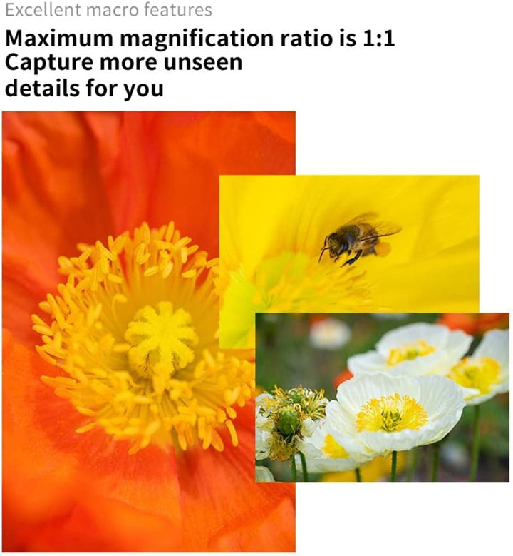 7artisans 60 mm F2.8 Mark II Makro manueller Fokus-Kameraobjektiv APS-C spiegellose Kameralinse für