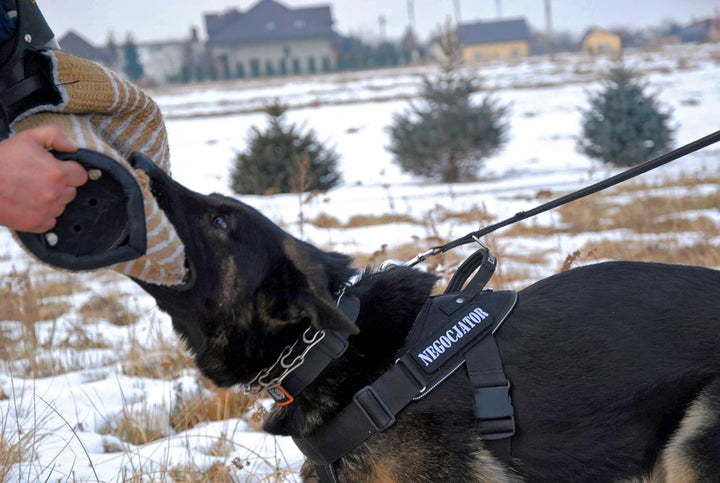 Dingo Gear Schutzärm Garda Universal Schutz für das Hundetraining IGP, K9 Nylcot Schwarz S00540, Nyl