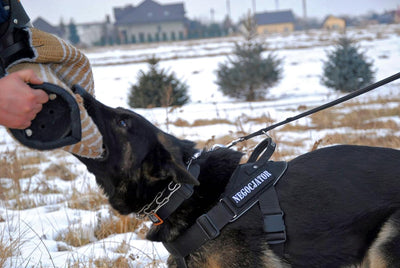 Dingo Gear Schutzärm Garda Universal Schutz für das Hundetraining IGP, K9 Jute S00542, Jute