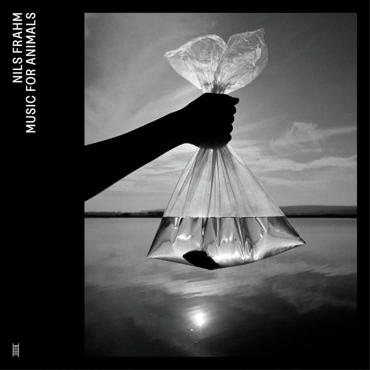 Music for Animals, Vinyl