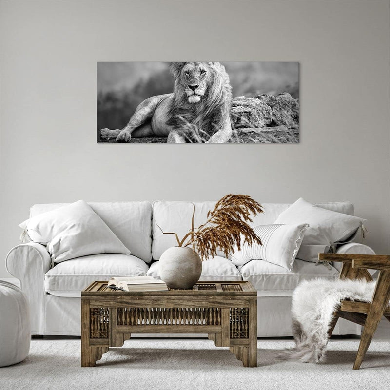 Panorama Bilder auf Leinwand 100x40cm Leinwandbild mit Rahmen Löwe Tier Natur Gross Wanddeko Bild Sc