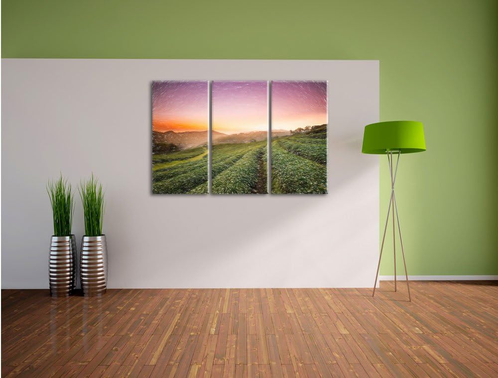 Pixxprint Sonnenaufgang Teeplantage Thailand / 3-Teilig/Gesamtmass 120cm Leinwandbild bespannt auf H