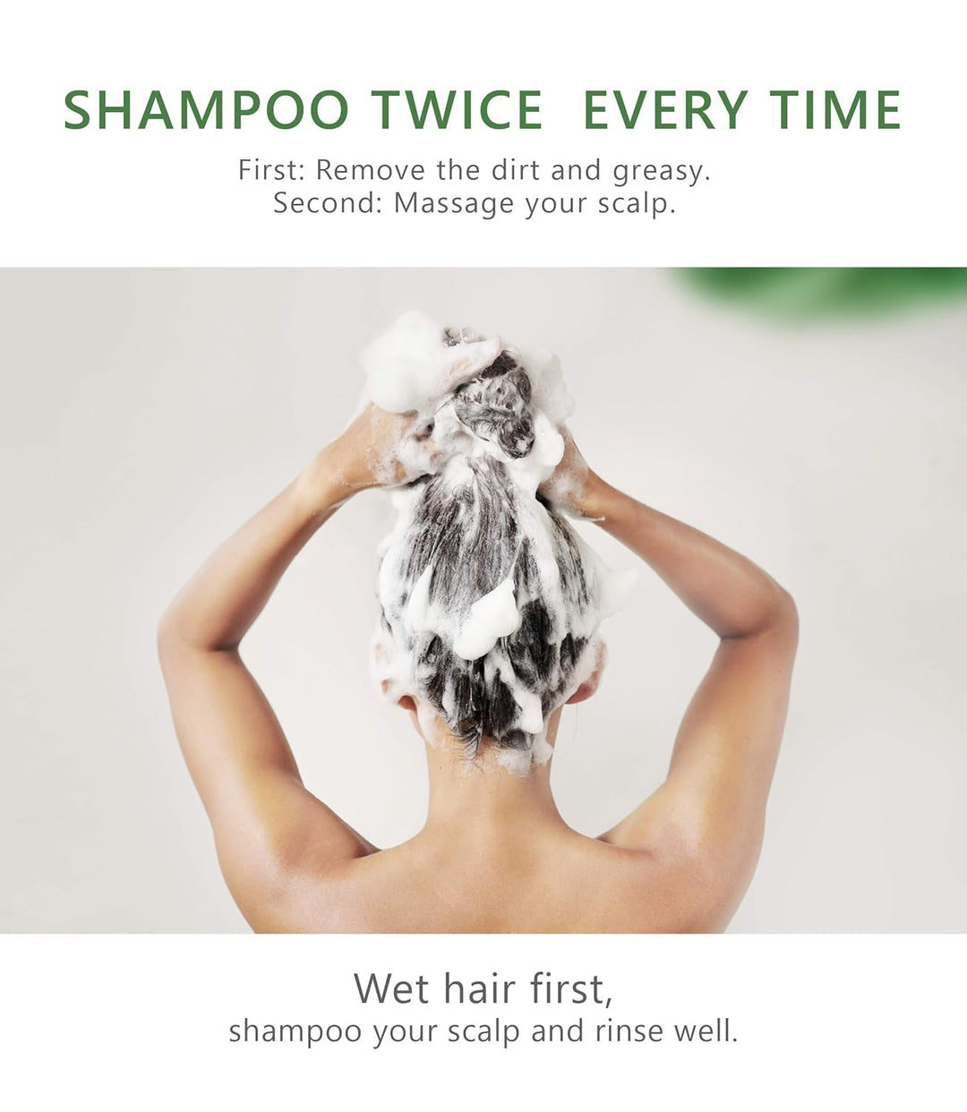 AROMASE Anti-Oil Essential Shampoo - Effektiv bei schnell fettendem Haar & fettiger Kopfhaut, reguli