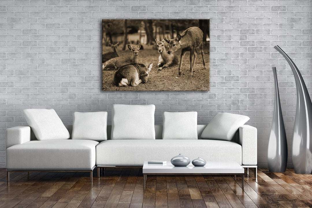 deyoli süsse Rehe im Wildgehege Format: 100x70 Effekt: Sepia als Leinwand, Motiv fertig gerahmt auf