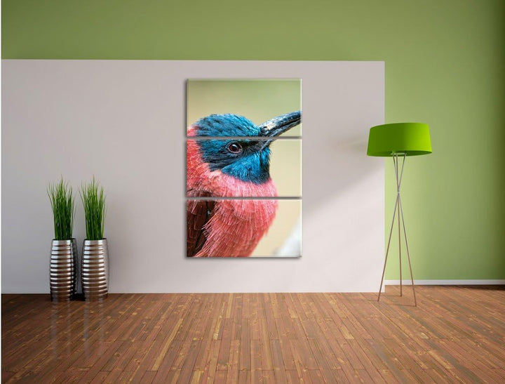 Pixxprint Kleiner tropischer Vogel als Leinwandbild/Grösse: 3 Teilig (120x80) cm/Wandbild/Kunstdruck