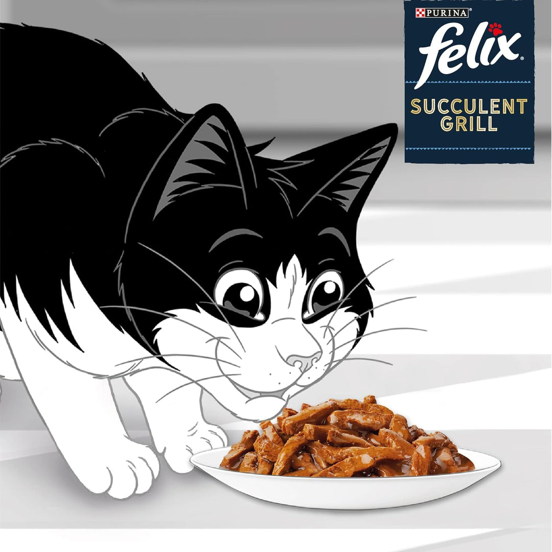 Felix - In Sauce Fischauswahl Lachs, Thunfisch, Kabeljau, Karrelet – 12 x 80 g – 6 Stück