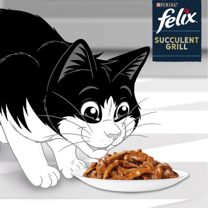 Felix - In Sauce Fischauswahl Lachs, Thunfisch, Kabeljau, Karrelet – 12 x 80 g – 6 Stück