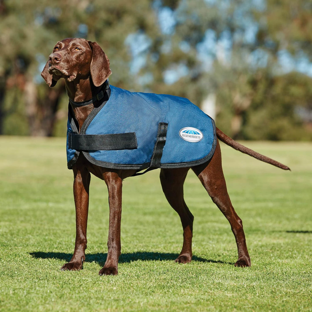 2022 Weatherbeeta Comfitec Classic Hundemantel 1001617 - Dunkelblau - 30 cm, 30 cm