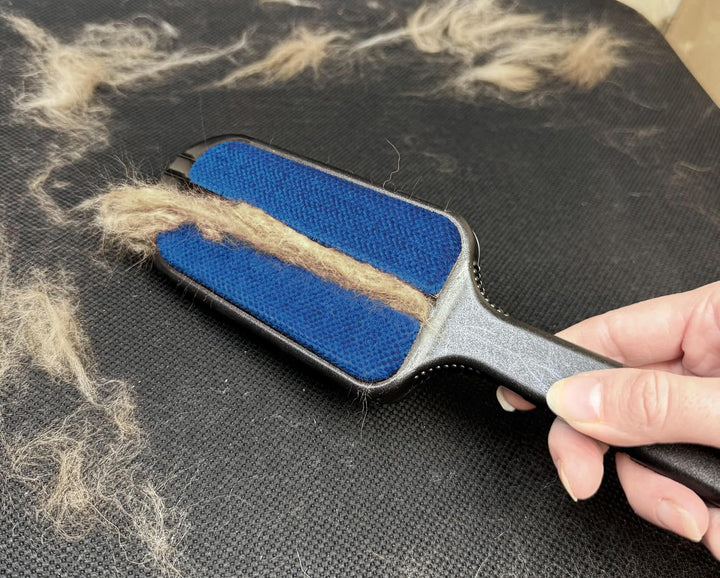 Pax Bürste Tierhaarentferner für Polster Textilien, Möbel und Teppich blau