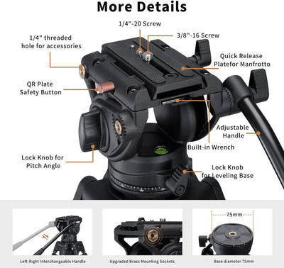 Cayer BV30 Video Tripod, Robust Aluminium Alloy Camera Tripod with 360° Fluid Head, Quick Release Pl